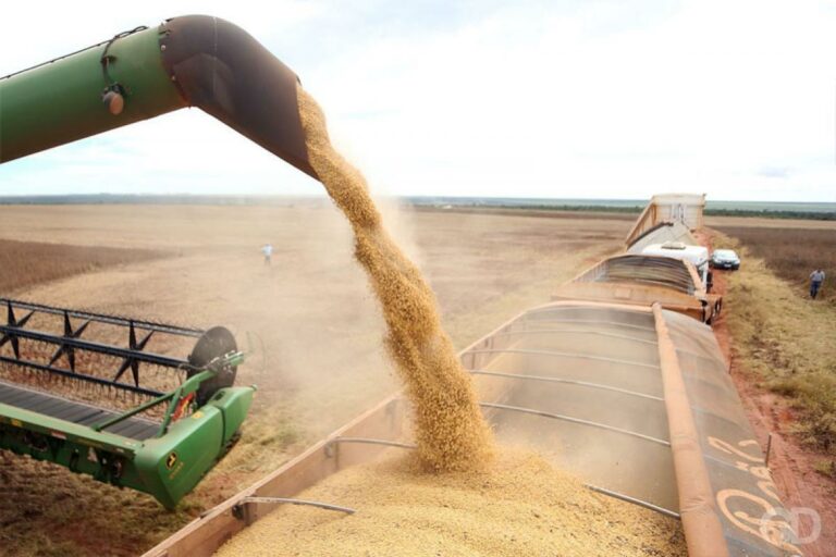 A importância do agro para a economia de Cuiabá e do estado de Mato Grosso