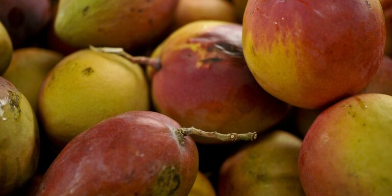 Abrafrutas apoia plano e pede atenção a pequenos produtores